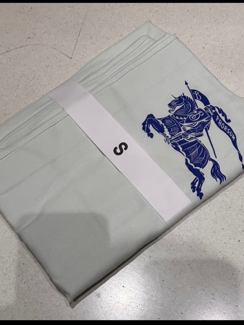 Burberry small Garment Bag / Dust Cover